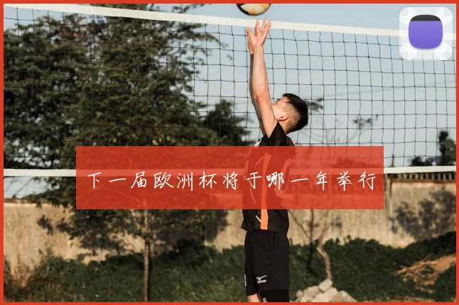 下一届欧洲杯将于哪一年举行