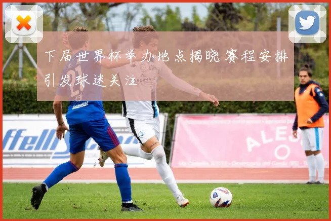 下届世界杯举办地点揭晓 赛程安排引发球迷关注