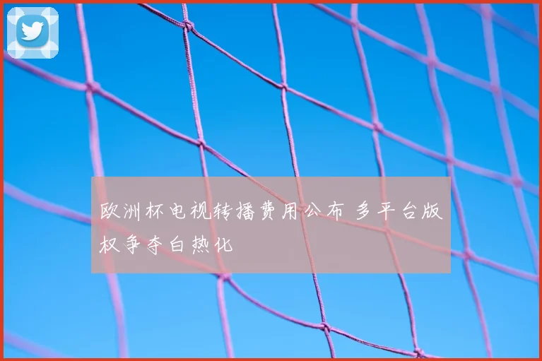 欧洲杯电视转播费用公布 多平台版权争夺白热化