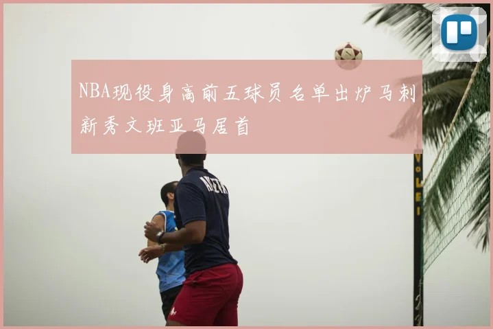 NBA现役身高前五球员名单出炉马刺新秀文班亚马居首