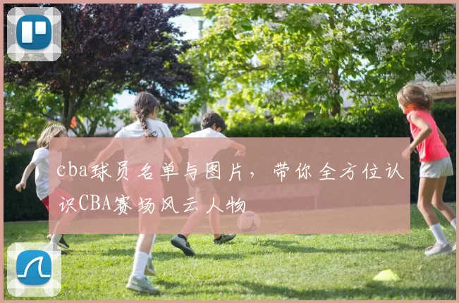 cba球员名单与图片，带你全方位认识CBA赛场风云人物