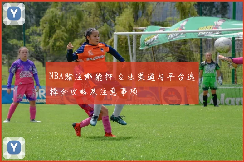 NBA赌注哪能押 合法渠道与平台选择全攻略及注意事项